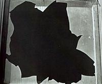 123.jpg