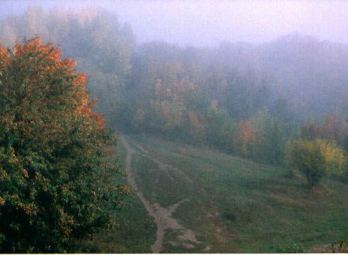 Сергей Миронов